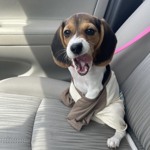 Fundraising Page: Gianna Berkovich